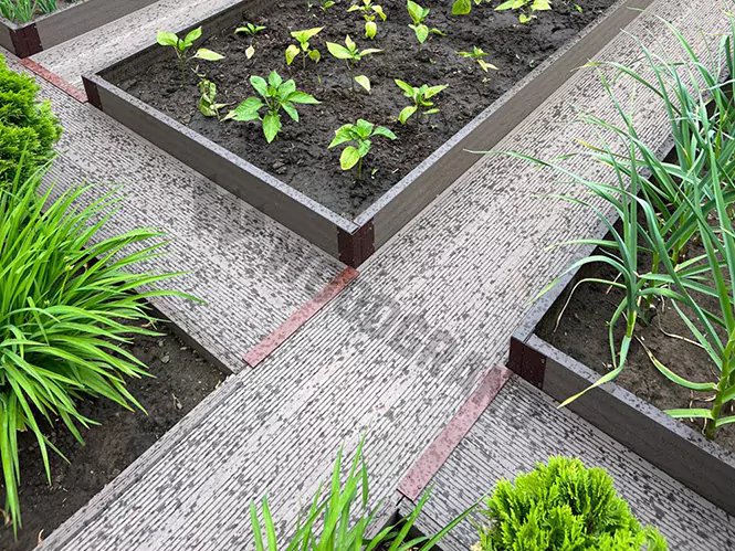 Дорожки из ДПК